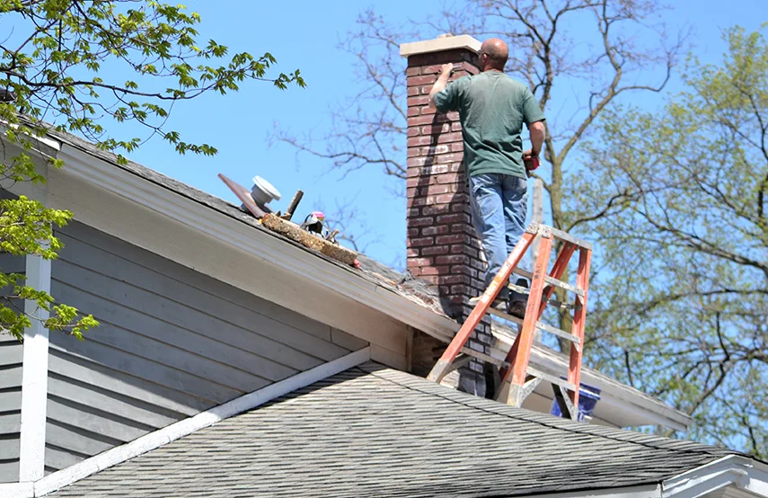Chimney & Fireplace Inspections Services in Laurel, MD